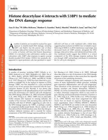 Histone deacetylase 4 interacts with 53BP1 to mediate the DNA ...