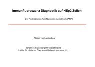 Immunfluoreszenz Diagnostik auf HEp2 Zellen - (GFID) eV