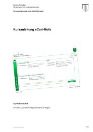 Kurzanleitung eCari-Mofa - Strassenverkehrs- und Schifffahrtsamt ...