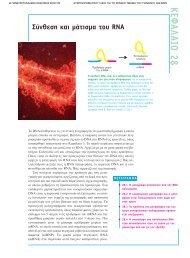 ÎÎµÏÎ¬Î»Î±Î¹Î¿ 28.pdf