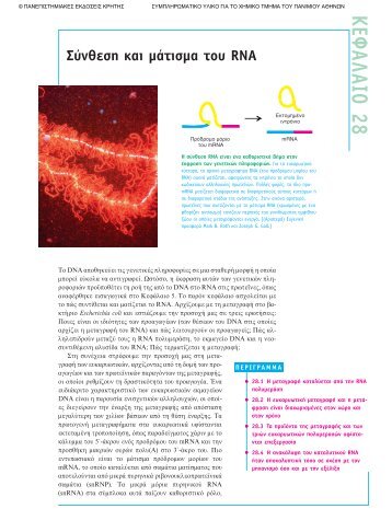 ÎÎµÏÎ¬Î»Î±Î¹Î¿ 28.pdf