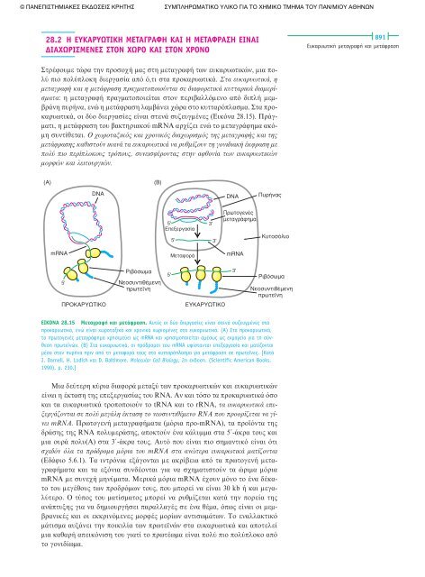 ÎÎµÏÎ¬Î»Î±Î¹Î¿ 28.pdf