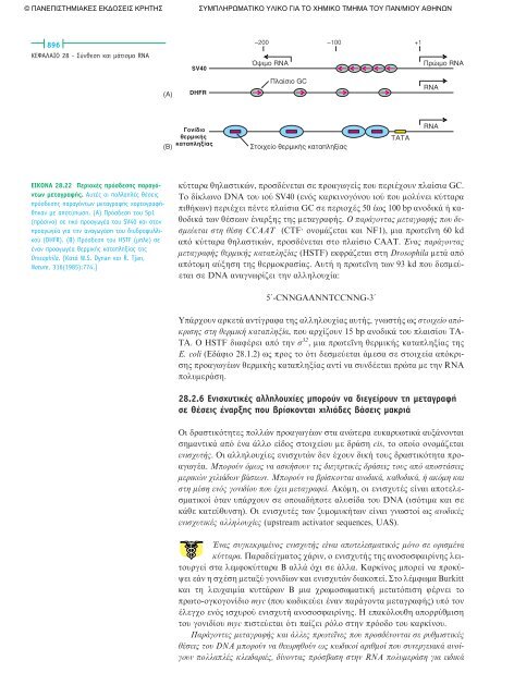 ÎÎµÏÎ¬Î»Î±Î¹Î¿ 28.pdf