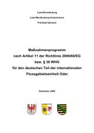 MaÃƒÂŸnahmenprogramm nach Artikel 11 der Richtlinie ... - WRRL MV