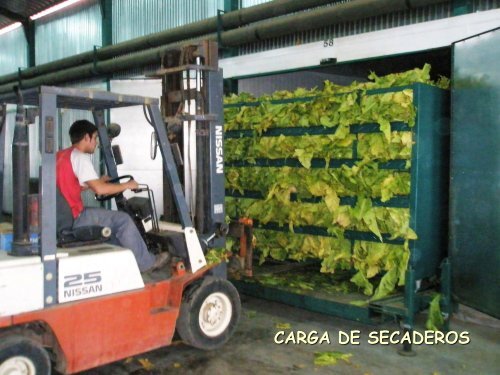 Uso industrial de la Biomasa para secaderos de tabaco - Altercexa