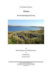 Glaslyn - Royal Commission on the Ancient and Historical ...