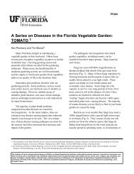 A Series on Diseases in the Florida Vegetable Garden: TOMATO