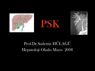 Primer Sklerozan Kolanjit - Prof. Dr. Sadettin HÃ¼lagÃ¼