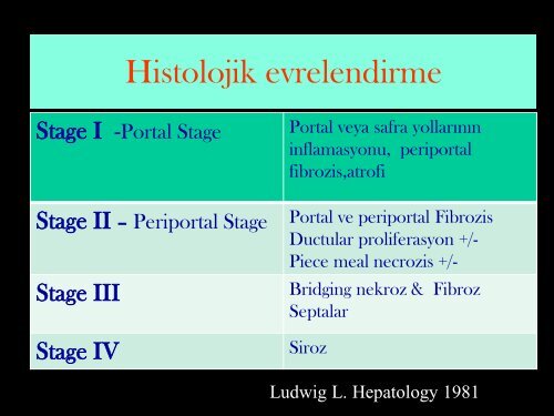 Primer Sklerozan Kolanjit - Prof. Dr. Sadettin HÃ¼lagÃ¼