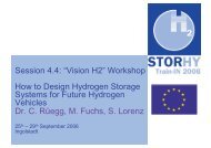Vision H2-Workshop, Results - StorHy Hydrogen Storage