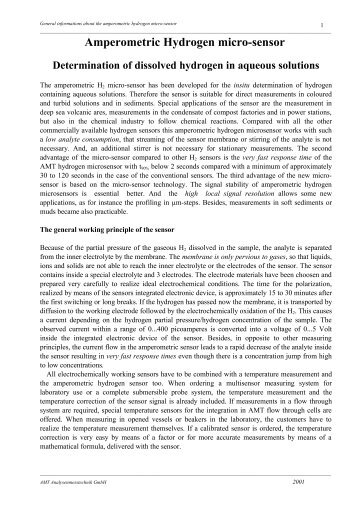 Amperometric Hydrogen micro-sensor - AMT Analysenmesstechnik ...