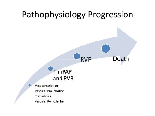 Pulmonary Hypertension: Beyond the Swan Ganz Catheter