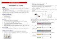 SD BIOLINE Dengue Fever IgG and IgM Rapid Test