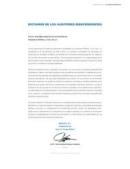 DICTAMEN DE LOS AUDITORES INDEPENDIENTES