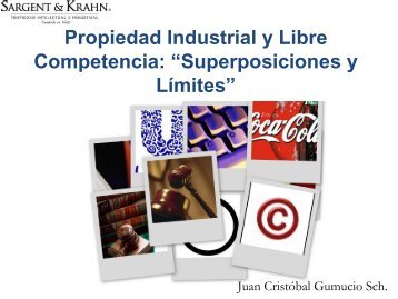 Propiedad Industrial y Libre Competencia: âSuperposiciones ... - Inapi