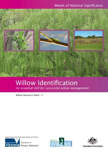 Resource sheet 2 - Willow identification - Weeds Australia