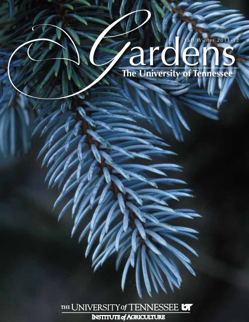 Fall/Winter 2011-12 - UT Gardens - The University of Tennessee