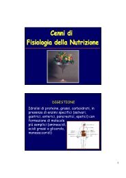 Fisiologia della nutrizione [R. Menci 2013].pdf - Wolfdesign.it