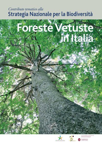 Le Foreste Vetuste in Italia - ondeweb.net