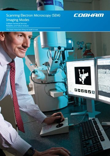 Scanning Electron Microscopy (SEM) Imaging Modes