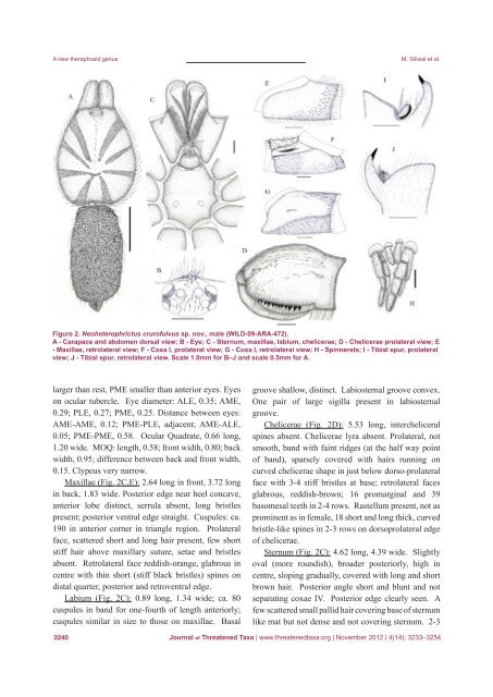 View - Journal of Threatened Taxa