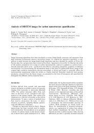 Analysis of HRTEM images for carbon nanostructure quantification