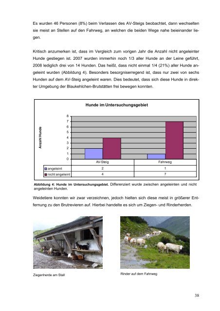 PDF-Download - Hohe Tauern