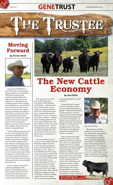 The New Cattle Economy - Beef