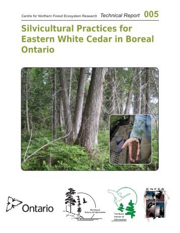 Silvicultural Practices for Eastern White Cedar in Boreal Ontario