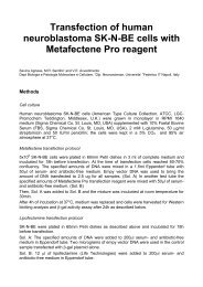 Transfection of human neuroblastoma SK-N-BE cells with ...