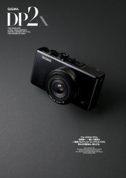 The SIGMA DP2x