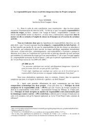 La responsabilitÃ© pour choses et activitÃ©s dangereuse dans ... - Grerca