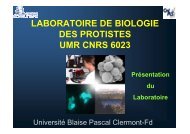 laboratoire de biologie des protistes umr cnrs 6023 - Jacquet Stephan