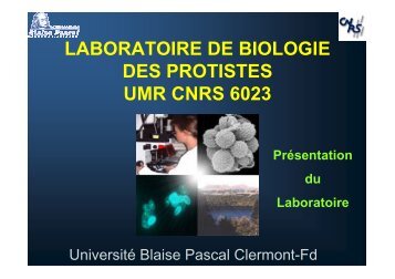 laboratoire de biologie des protistes umr cnrs 6023 - Jacquet Stephan