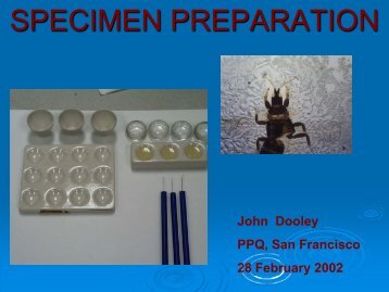 SPECIMEN PREPARATION - Keys