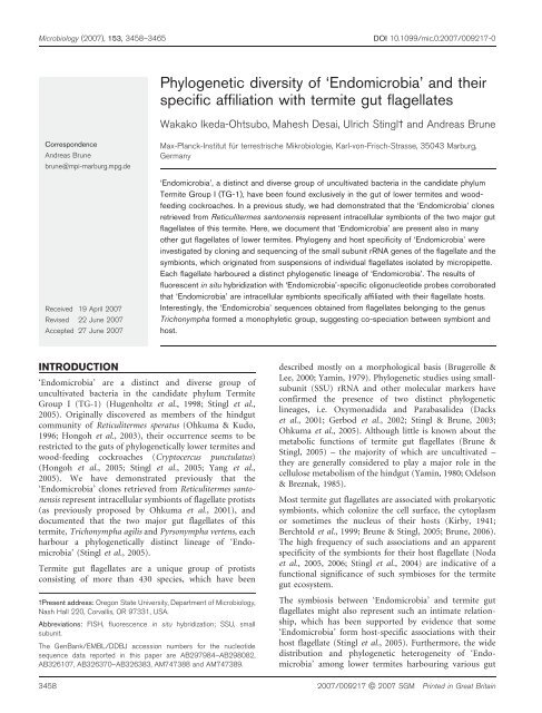 Phylogenetic diversity of 'Endomicrobia' and their ... - Microbiology