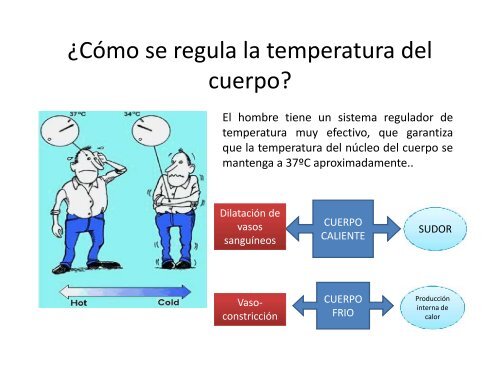 Comodidad Térmica - Asociación Peruana de Energía Solar y del ...