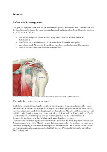 PDF-drucken - Naturheilpraxis Eva Kupper