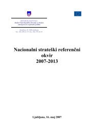 Nacionalni strateÅ¡ki referenÄni okvir 2007-2013 - Ministrstvo za ...