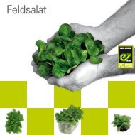 Feldsalat - Enza Zaden