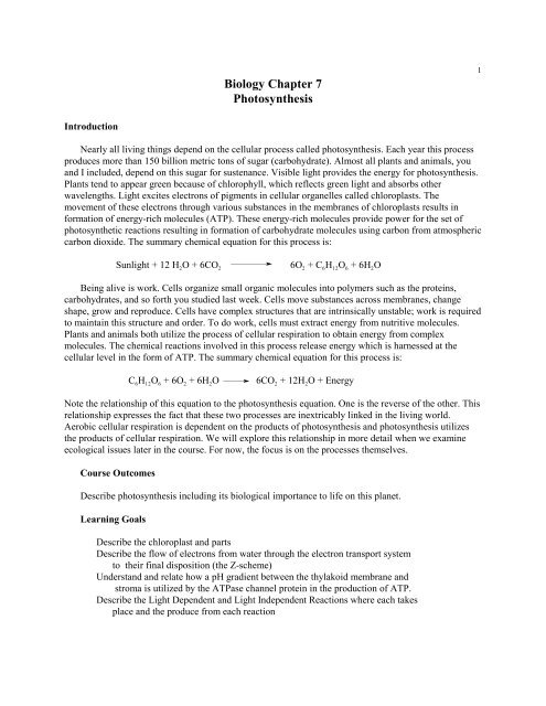 Biology Chapter 7 Photosynthesis