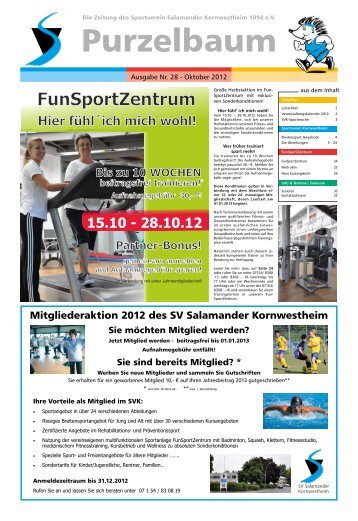 jetzt auch online lesen (10.3MB)! - SV Kornwestheim