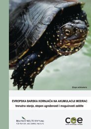 Barska kornjaca na jezeru Modrac.pdf - Ekologija.ba