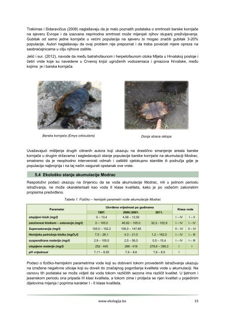 Barska kornjaca na jezeru Modrac.pdf - Ekologija.ba