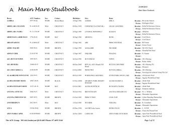 Main Mare Studbook - The Ace Group