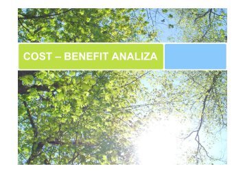 COST- BENEFIT ANALIZA - Visoka poslovna Å¡kola strukovnih ...