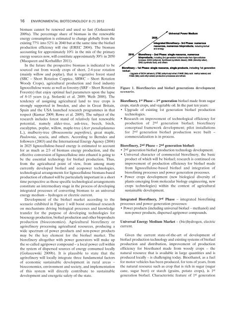 Conceptual framework of bioethanol production from lignocellulose ...