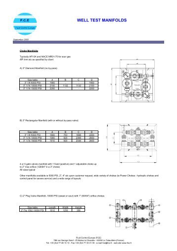 DS-welltest manifolds-0909.pdf - FCE
