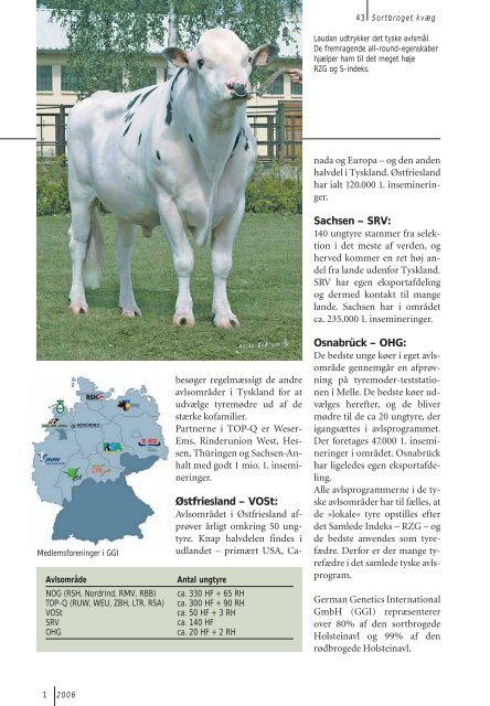 SORTBROGET - Dansk Holstein