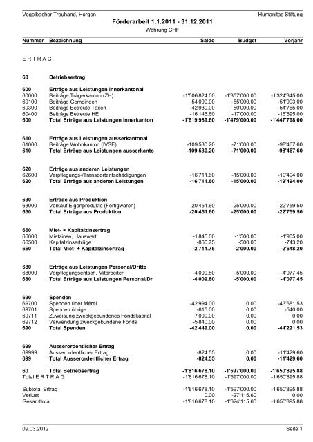 Erfolgsrechnung FÃ¶rderungsarbeit Horgen